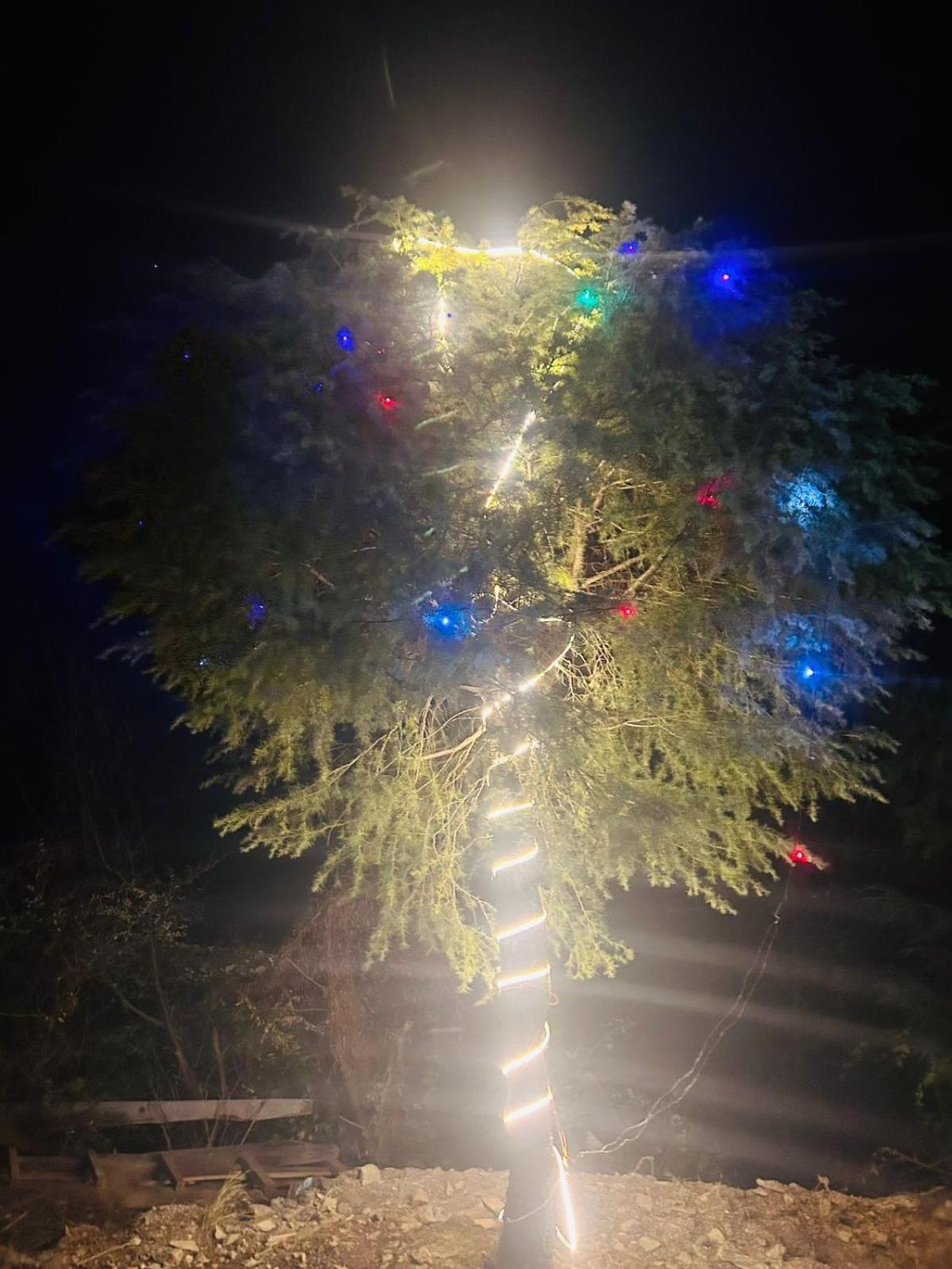 Tree Hub Jibhi Exterior foto